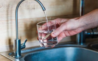 The Dangers of Drinking Moldy Water That Is Hiding in Your Sink
